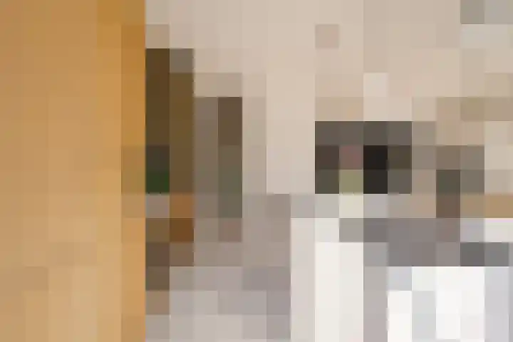 Julianalaan 48 Overveen thumbnail 25