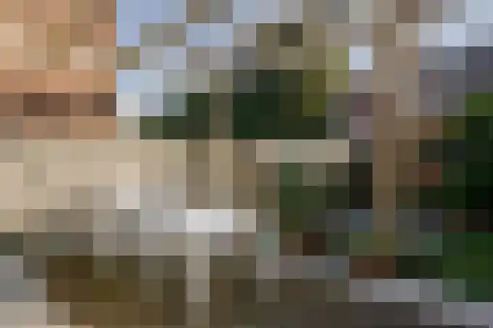 Julianalaan 48 Overveen thumbnail 27