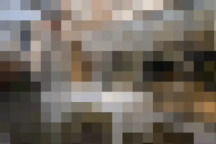 Julianalaan 48 Overveen thumbnail 28