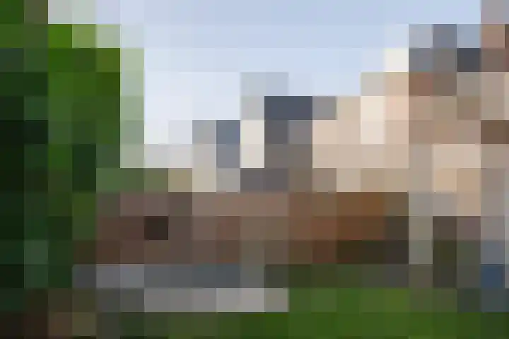 Julianalaan 48 Overveen thumbnail 31