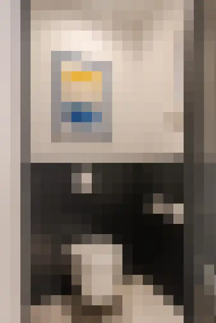 Julianalaan 48 Overveen thumbnail 34