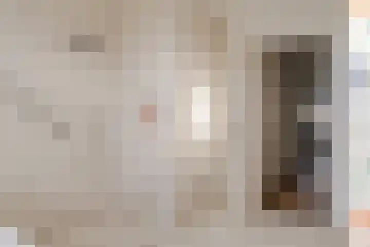 Julianalaan 48 Overveen thumbnail 39