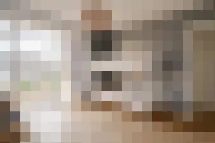 Julianalaan 48 Overveen thumbnail 42