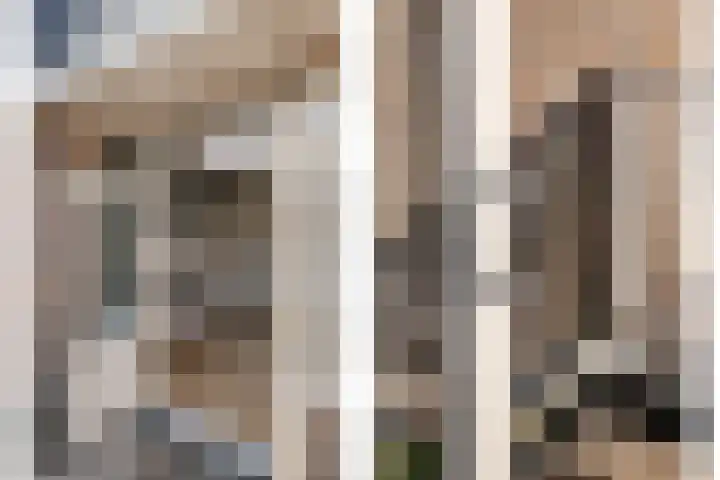 Julianalaan 48 Overveen thumbnail 44