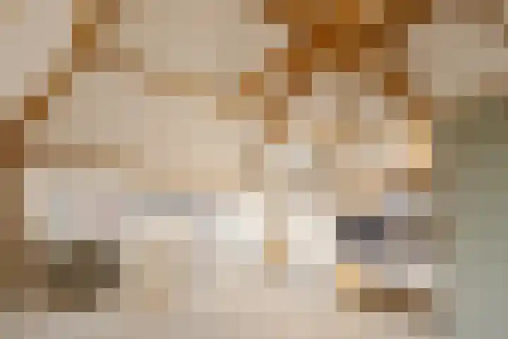 Julianalaan 48 Overveen thumbnail 51