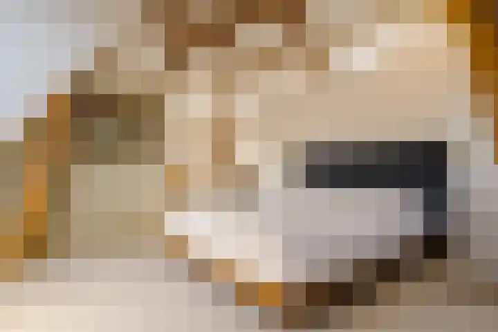 Julianalaan 48 Overveen thumbnail 55