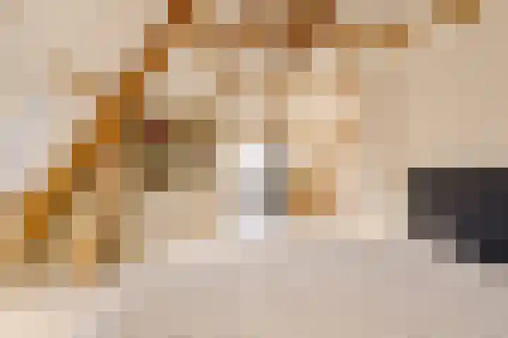 Julianalaan 48 Overveen thumbnail 54
