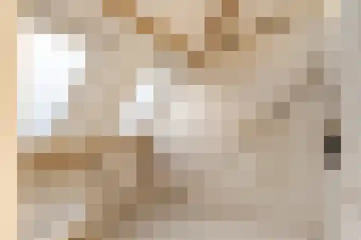 Julianalaan 48 Overveen thumbnail 57