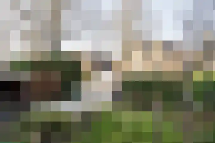 Julianalaan 48 Overveen thumbnail 6