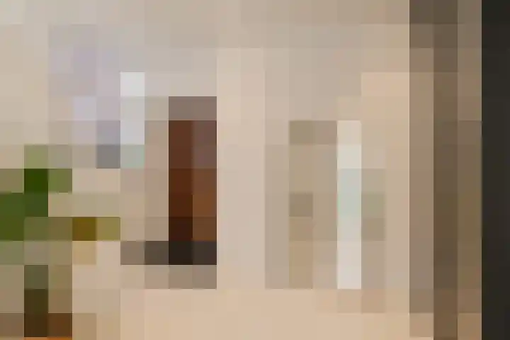 Julianalaan 48 Overveen thumbnail 9