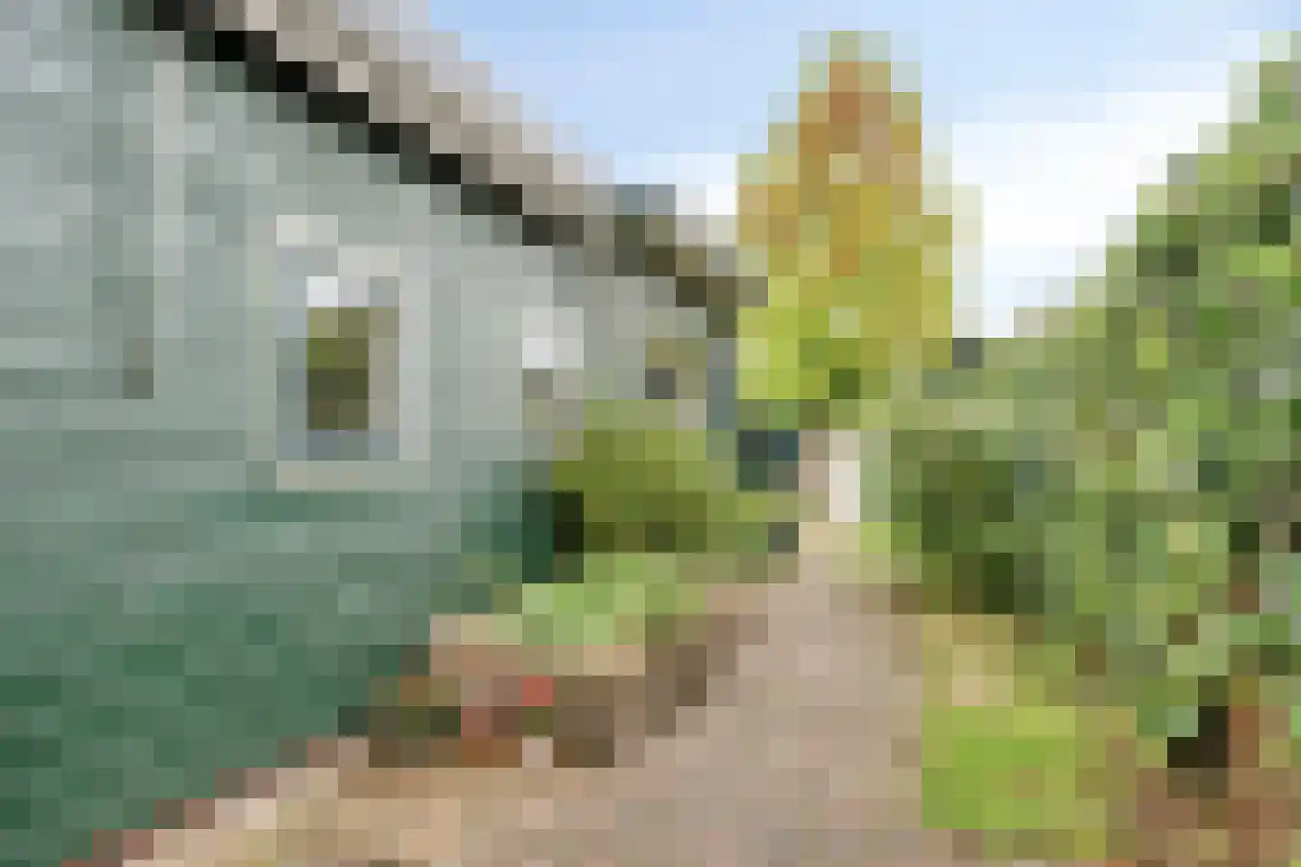 Julianalaan 49 Bergschenhoek thumbnail 18