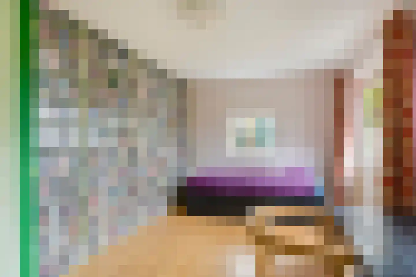 Julianalaan 49 Bergschenhoek thumbnail 23