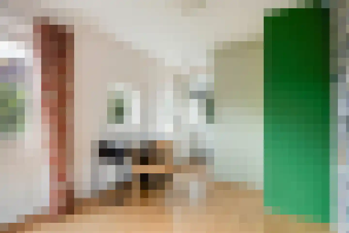 Julianalaan 49 Bergschenhoek thumbnail 24