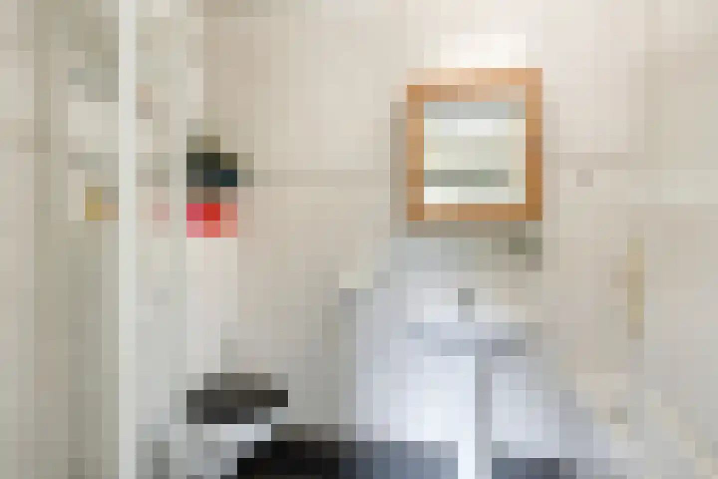 Julianalaan 49 Bergschenhoek thumbnail 25