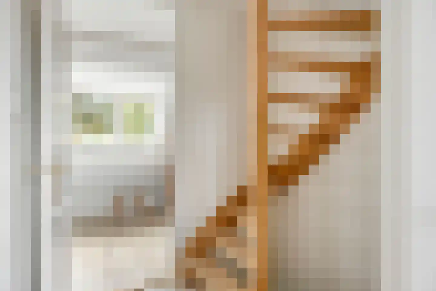 Julianalaan 49 Bergschenhoek thumbnail 31