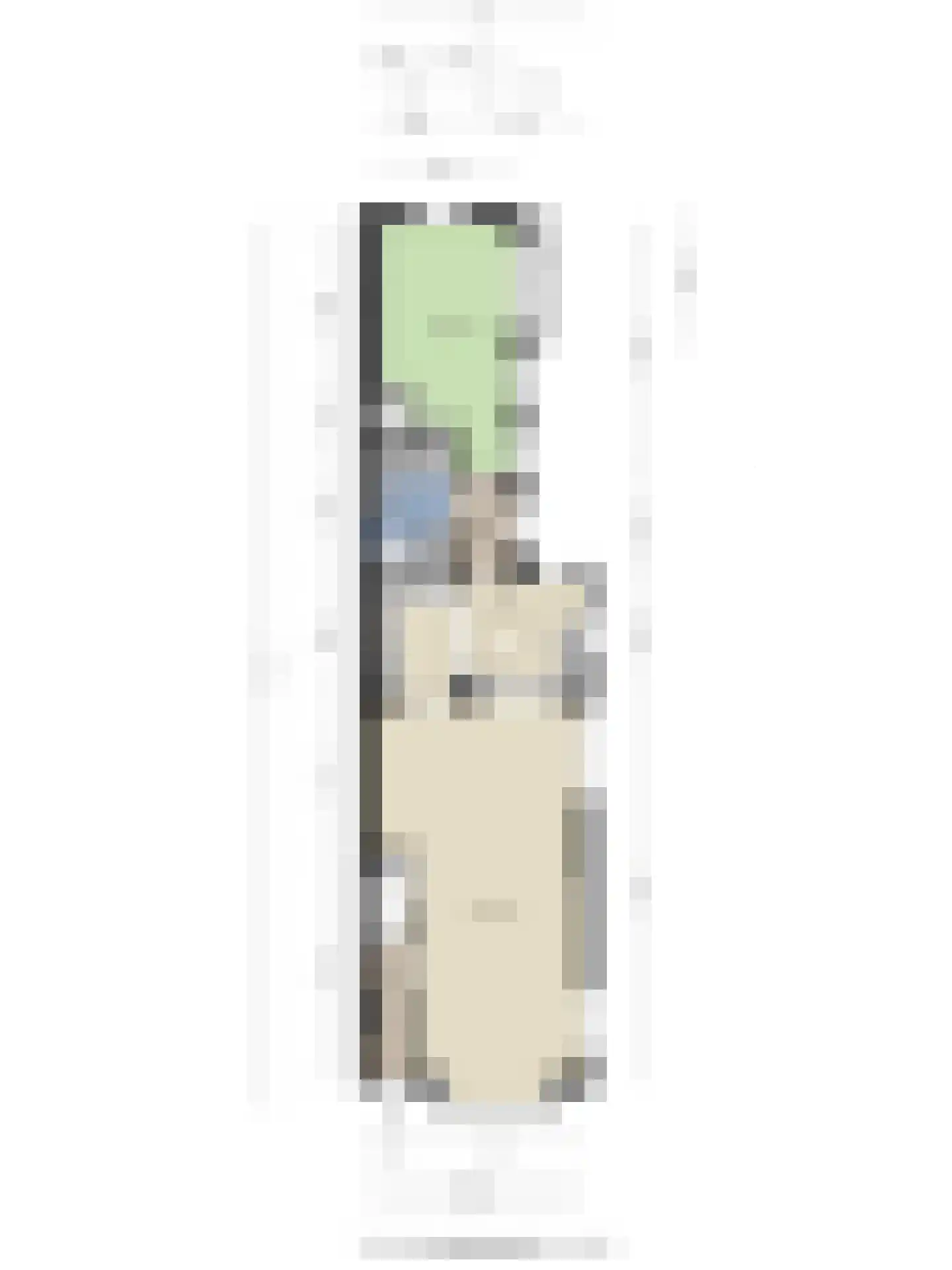 Julianalaan 49 Bergschenhoek thumbnail 42