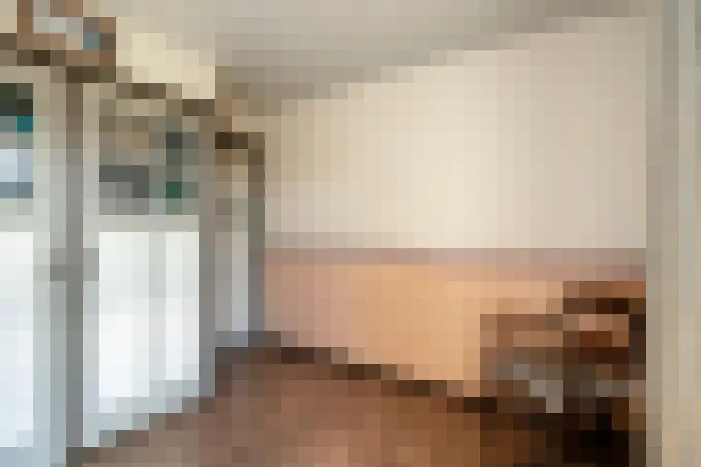Julianalaan 49 Vaassen thumbnail 29