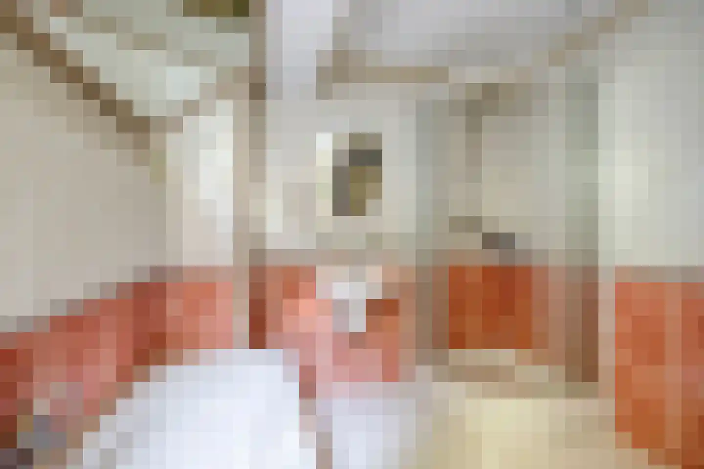 Julianalaan 49 Vaassen thumbnail 30
