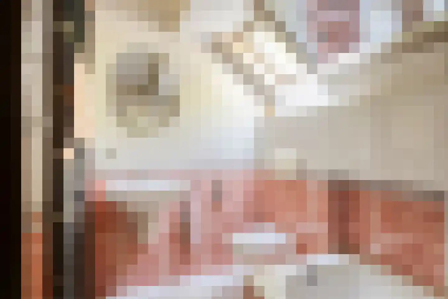 Julianalaan 49 Vaassen thumbnail 31