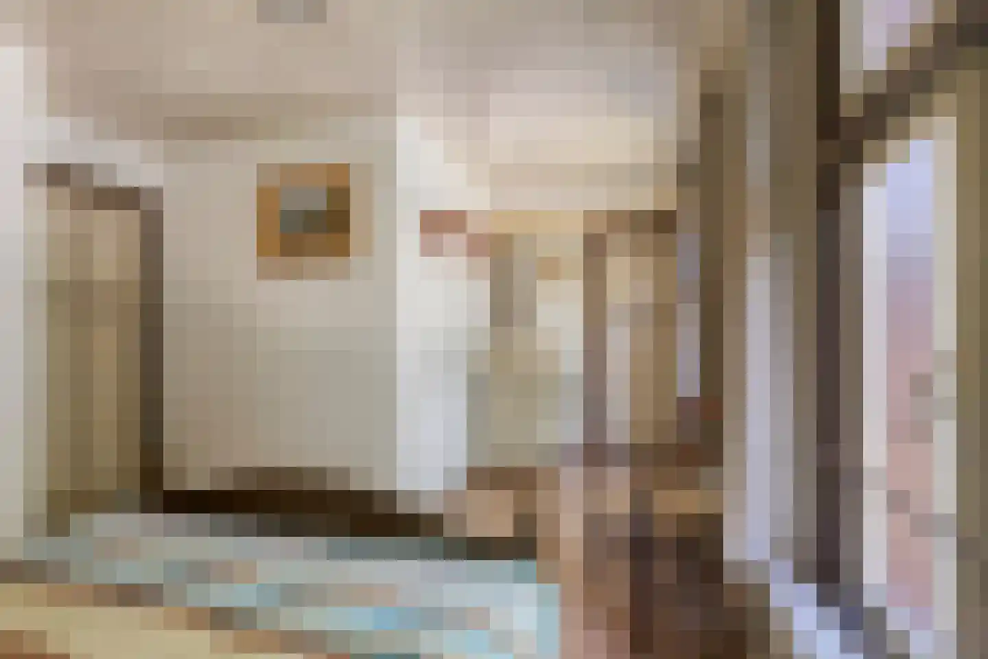 Julianalaan 49 Vaassen thumbnail 33