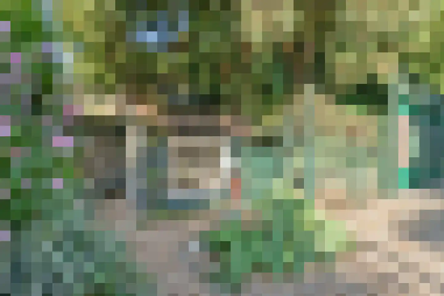 Julianalaan 49 Vaassen thumbnail 41