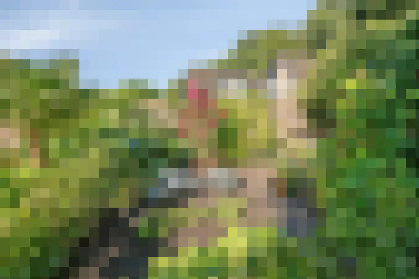 Julianalaan 49 Vaassen thumbnail 42