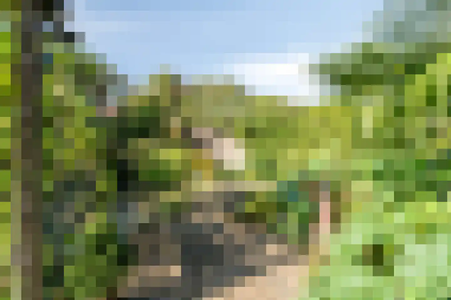 Julianalaan 49 Vaassen thumbnail 43