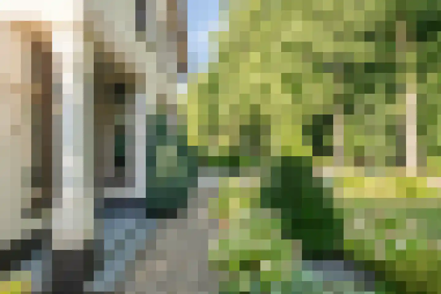 Julianalaan 49 Vaassen thumbnail 5