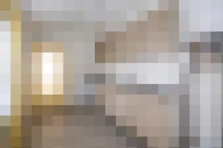 Julianalaan 49 Vleuten thumbnail 16