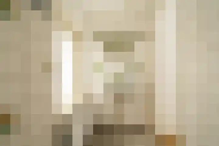Julianalaan 49 Vleuten thumbnail 21