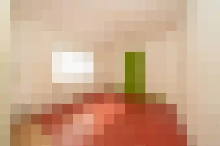 Julianalaan 49 Vleuten thumbnail 22