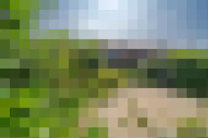 Julianalaan 49 Vleuten thumbnail 28