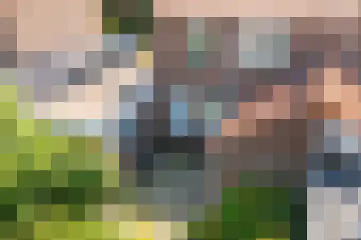Julianalaan 49 Vleuten thumbnail 29