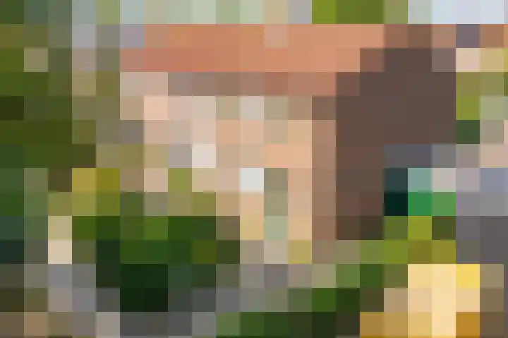 Julianalaan 49 Vleuten thumbnail 35