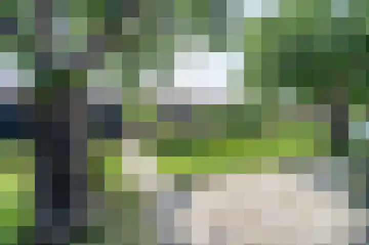 Julianalaan 49 Vleuten thumbnail 37
