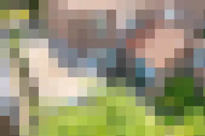 Julianalaan 49 Vleuten thumbnail 4