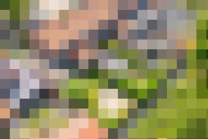 Julianalaan 49 Vleuten thumbnail 5