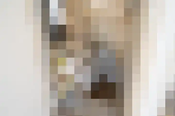 Julianalaan 49 Vleuten thumbnail 8