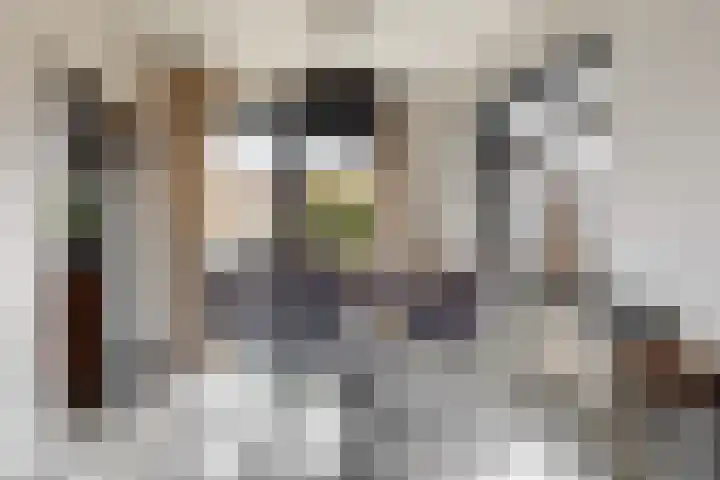 Julianalaan 5 Buren thumbnail 10