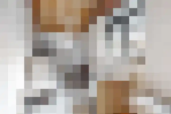 Julianalaan 5 Buren thumbnail 16