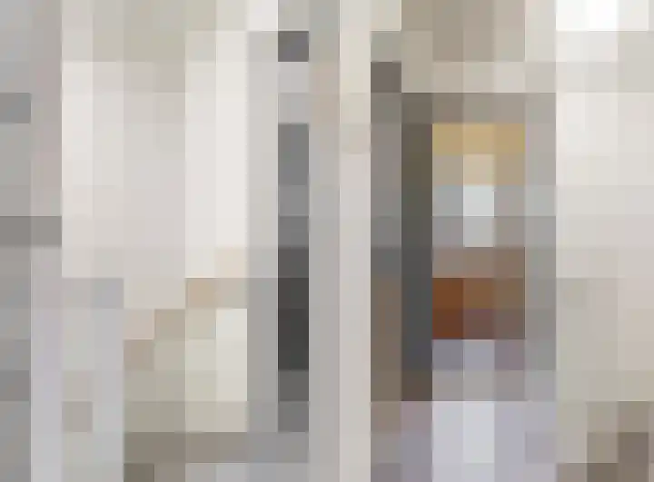 Julianalaan 5 Buren thumbnail 17