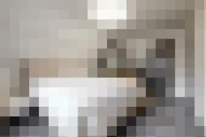 Julianalaan 5 Buren thumbnail 18
