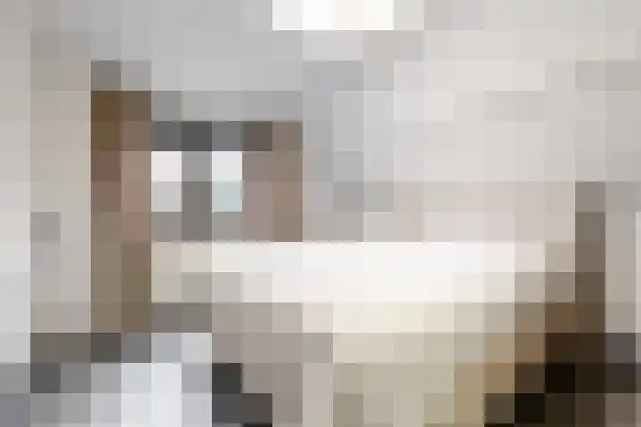 Julianalaan 5 Buren thumbnail 19