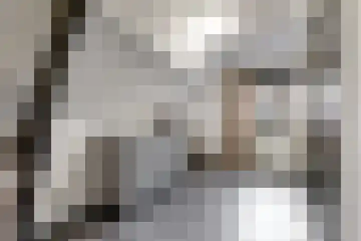 Julianalaan 5 Buren thumbnail 21