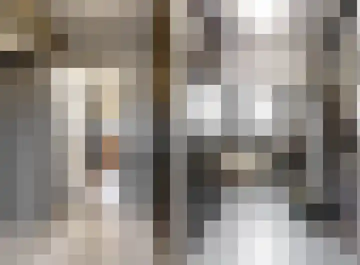 Julianalaan 5 Buren thumbnail 23