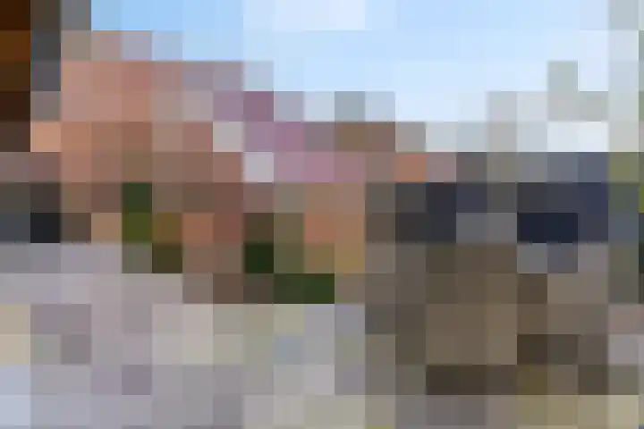 Julianalaan 5 Buren thumbnail 29