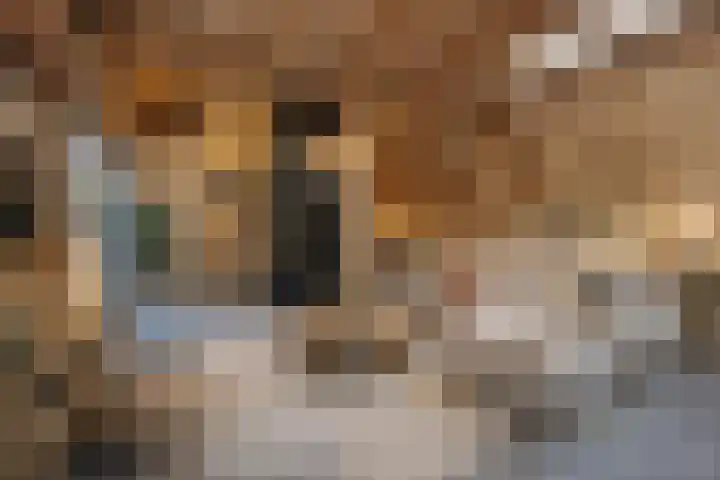 Julianalaan 5 Buren thumbnail 35