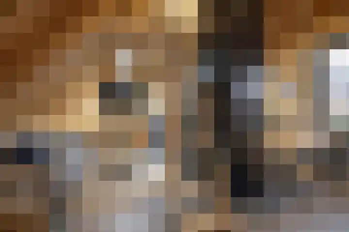 Julianalaan 5 Buren thumbnail 36
