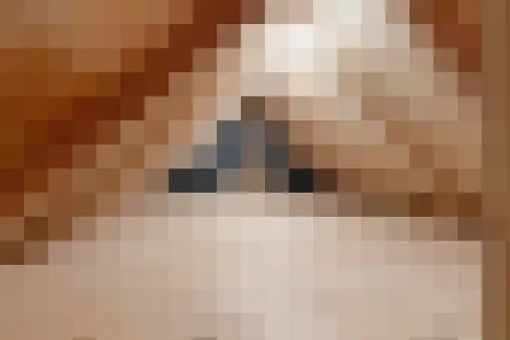 Julianalaan 5 Buren thumbnail 37