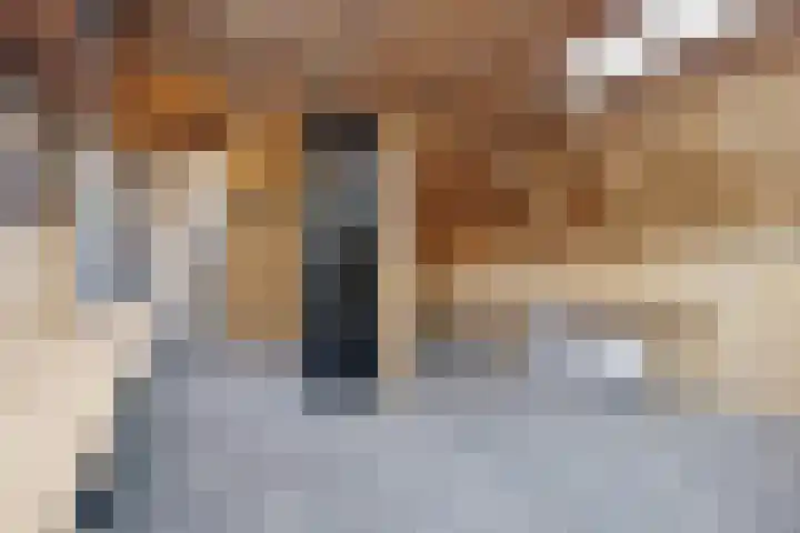 Julianalaan 5 Buren thumbnail 38